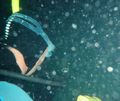 Advanced Open Water Student Geoff Goddard navigating in the dark