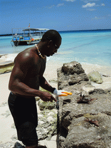 Roger cleaning the day's Lionfish kills